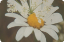    "".  3